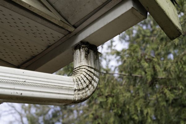 Roof Drain Replacement in Franklin